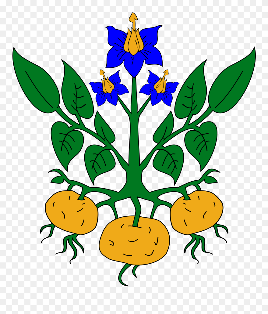Clipart Info - Potato Coat Of Arms - Png Download