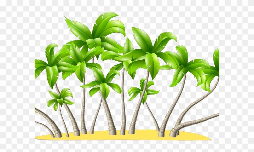 Date Palm Clipart Detailed - Palm Tree Png Transparent Png