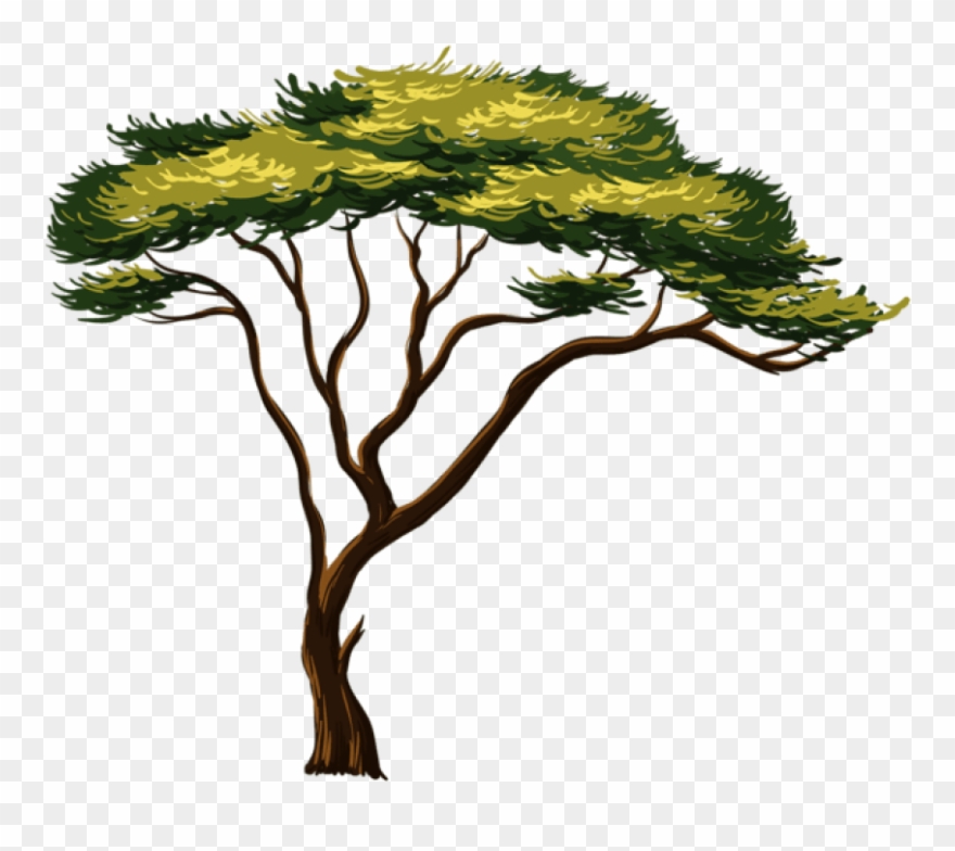 Painted African Png Picture Trees Pinterest - Wall Sticker Safari Animals Clipart