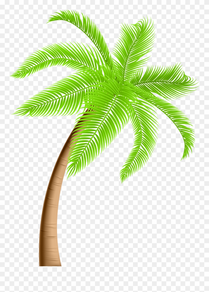 Png Trees Clipart