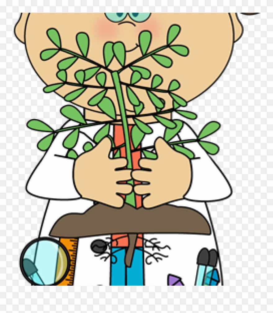 Science Clip Art Free Science Clip Art Science Images - Metabólitos Secundários Em Plantas - Png Download