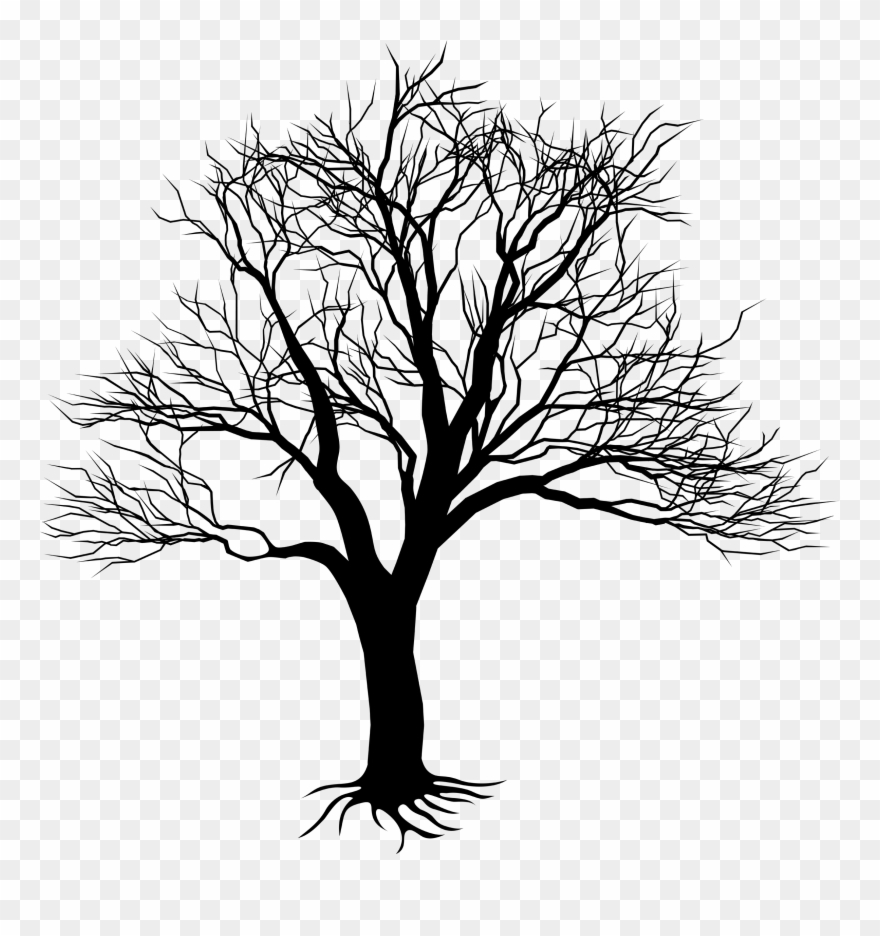 Png Black And White Download Camo Drawing Oak Tree - Kill A Mockingbird Tree Clipart