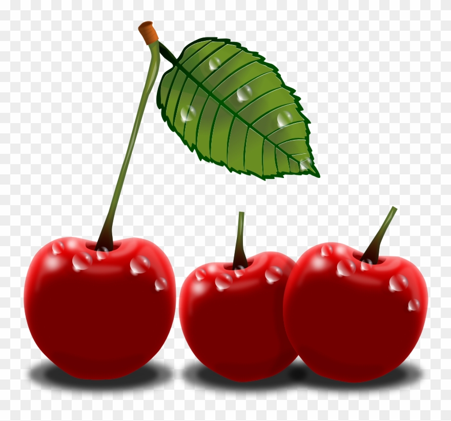 Cherry Clipart Black And White Free Clipart Image 2 - Cherry Png Clip Art Transparent Png