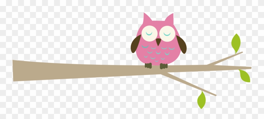 Pink Owl On Branch Images & Pictures - Owl On Tree Clipart - Png Download