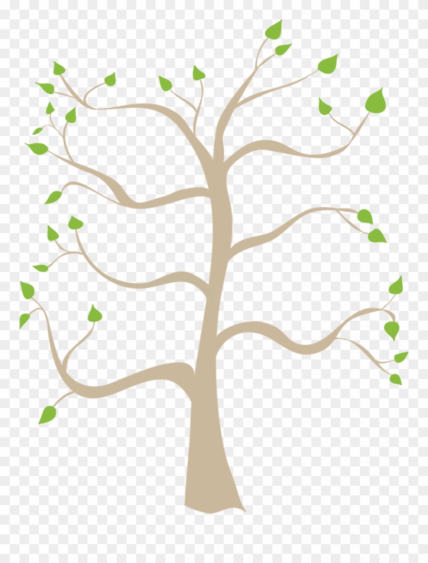 Family Tree Coloring Pages Printable Free Family Tree - Family Tree Blank Background Clipart