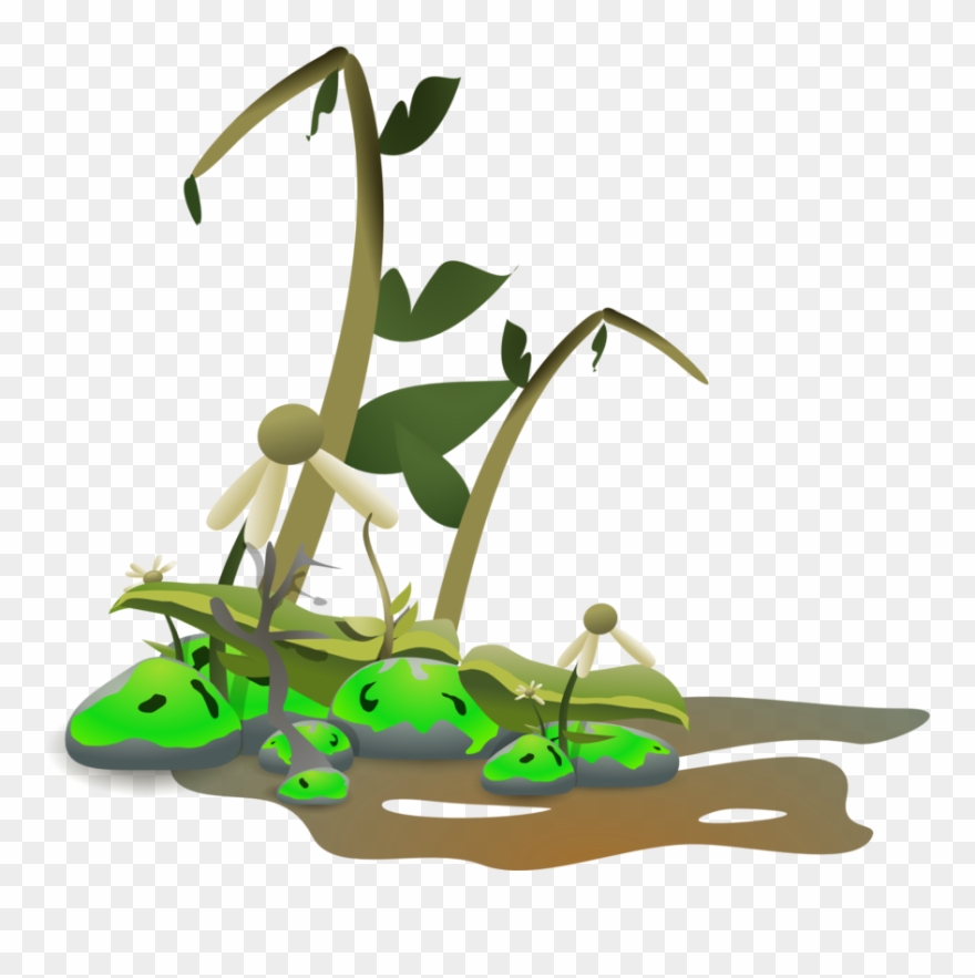 No Oil Cliparts - Sick Plant Clip Art - Png Download