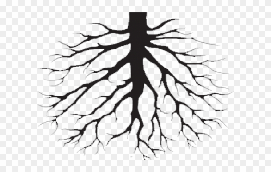 Biffy Clyro Opposites Vinyl Record Clipart