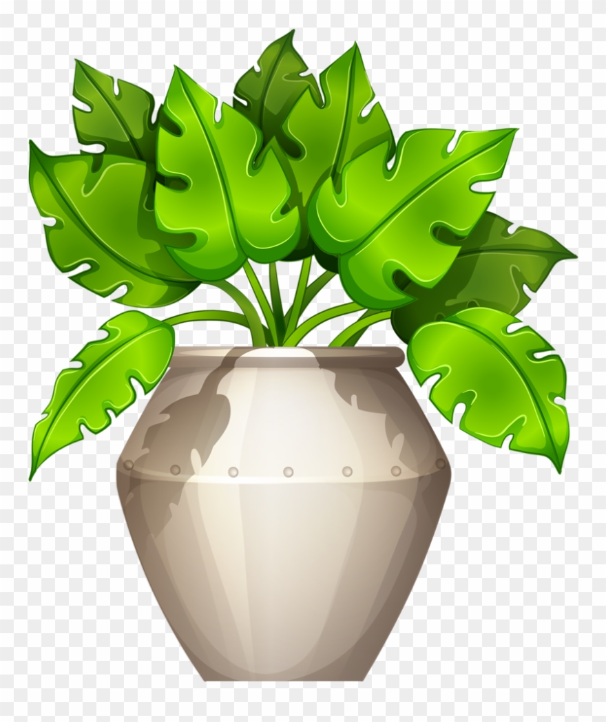 Árvores, Jardim E Etc - Büropflanzen Clipart - Png Download