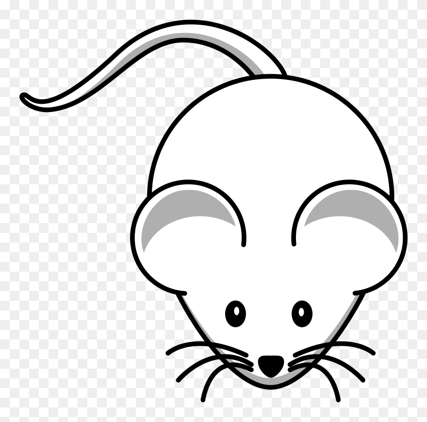 Clip Arts Related To - Cartoon Mouse - Png Download