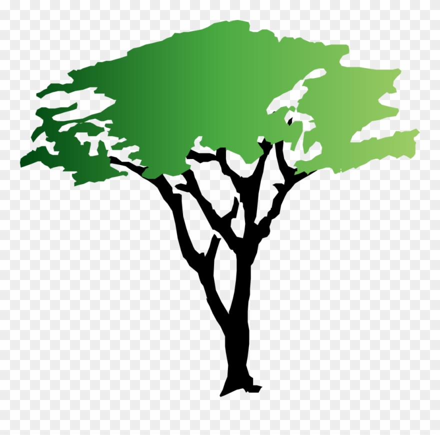 20 Acacia Tree Clip Art - Free Acacia Tree Clipart - Png Download