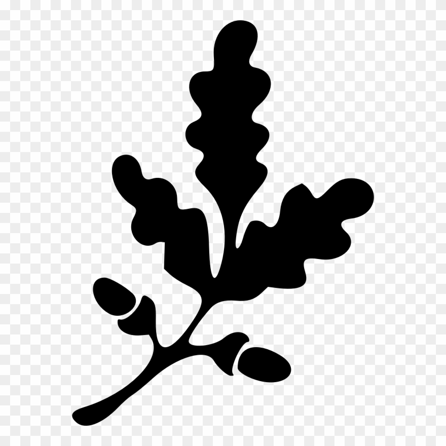 Tree Clipart Clipart Way Up High In - Oak Leaf Clipart - Png Download