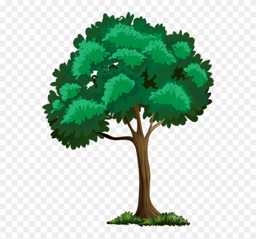 Trees ‿✿⁀°••○ Tree - Trees And Flowers Clipart - Png Download