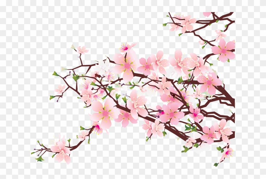 Clip Stock Image Tree Clip Art - Japan Cherry Blossom Transparent - Png Download