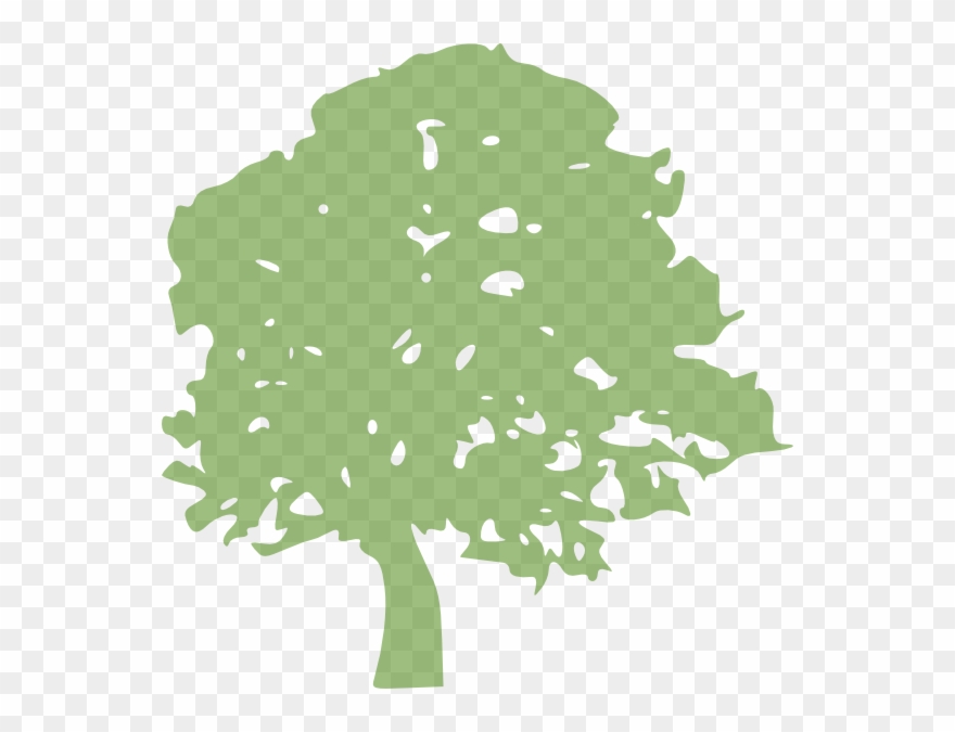 This Free Clip Arts Design Of Oak Tree - Tree Png Clip Art Transparent Png