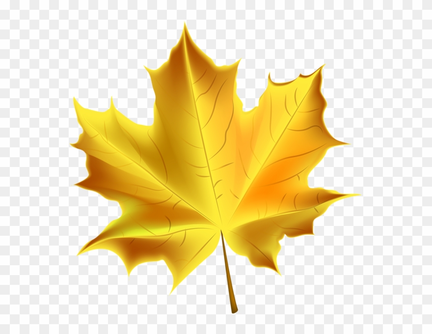 Banner Free Beautiful Yellow Autumn Transparent - Transparent Background Autumn Leaves Clipart - Png Download