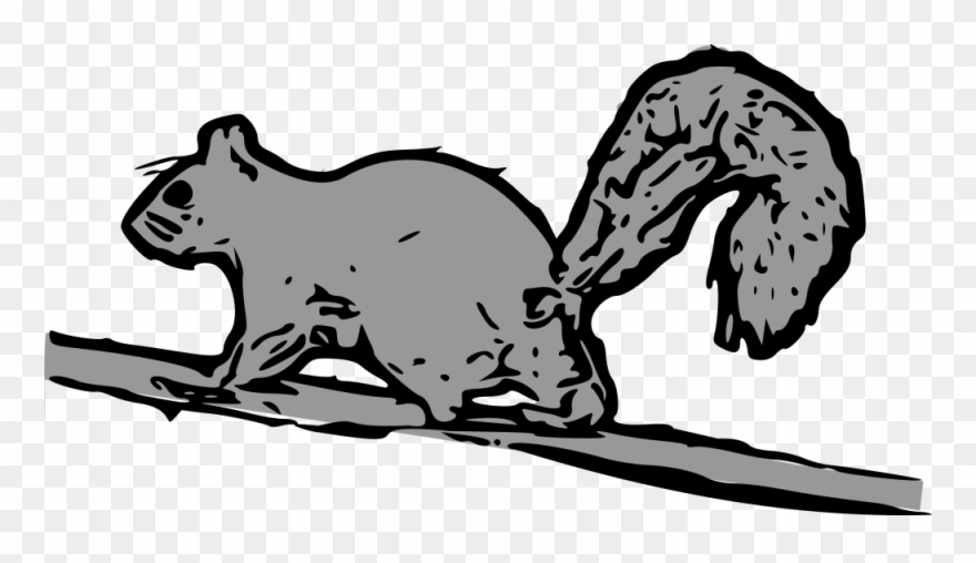 Squirrel Black And White Funny Squirrel Clipart Free - Cartoon Squirrel Running Up Tree - Png Download