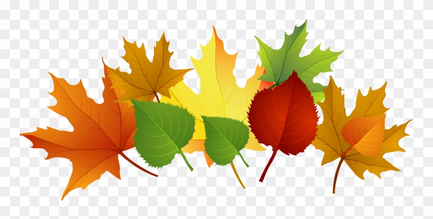 Photos Of Fall Leaf Clip Art Fall Leaves Clip Art Free - Fall Leaves Clipart - Png Download