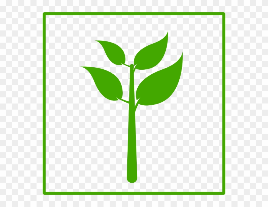 Plant Clipart Basic - Green Plant Icon - Png Download