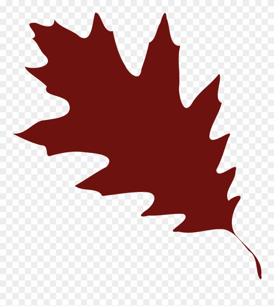 Free Oak Leaf Clipart - Fall Leaves Svg Free - Png Download