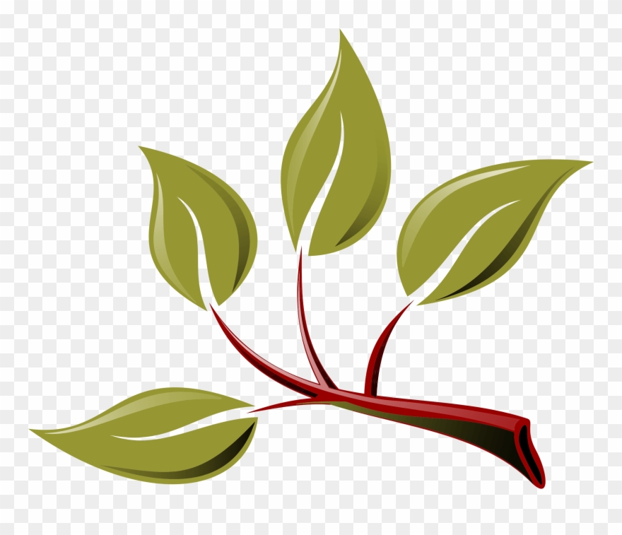 Branch Leaf Tree Twig Plant - 1s Tee Branch With Leaves Clipart