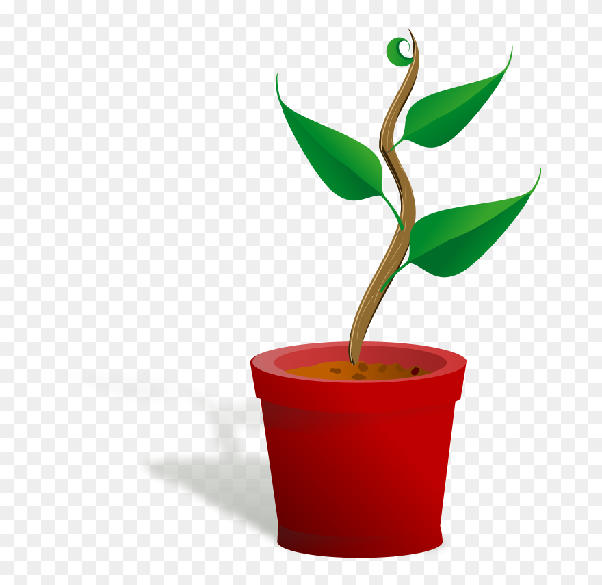 Plant Trees Clip Art - Plant Growing Clip Art - Png Download