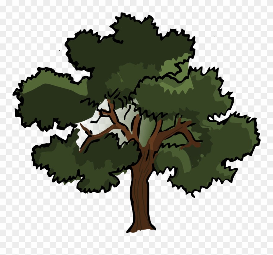 Oak Tree Vector Free Download - Oak Tree Clipart - Png Download