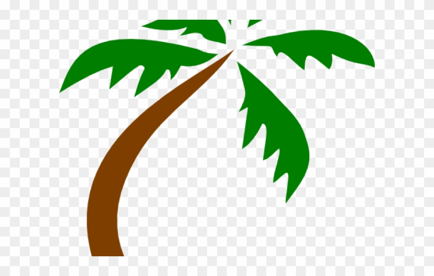 Tree Clipart Clipart Palm Tree - Green Coconut Tree Vector Transparent - Png Download