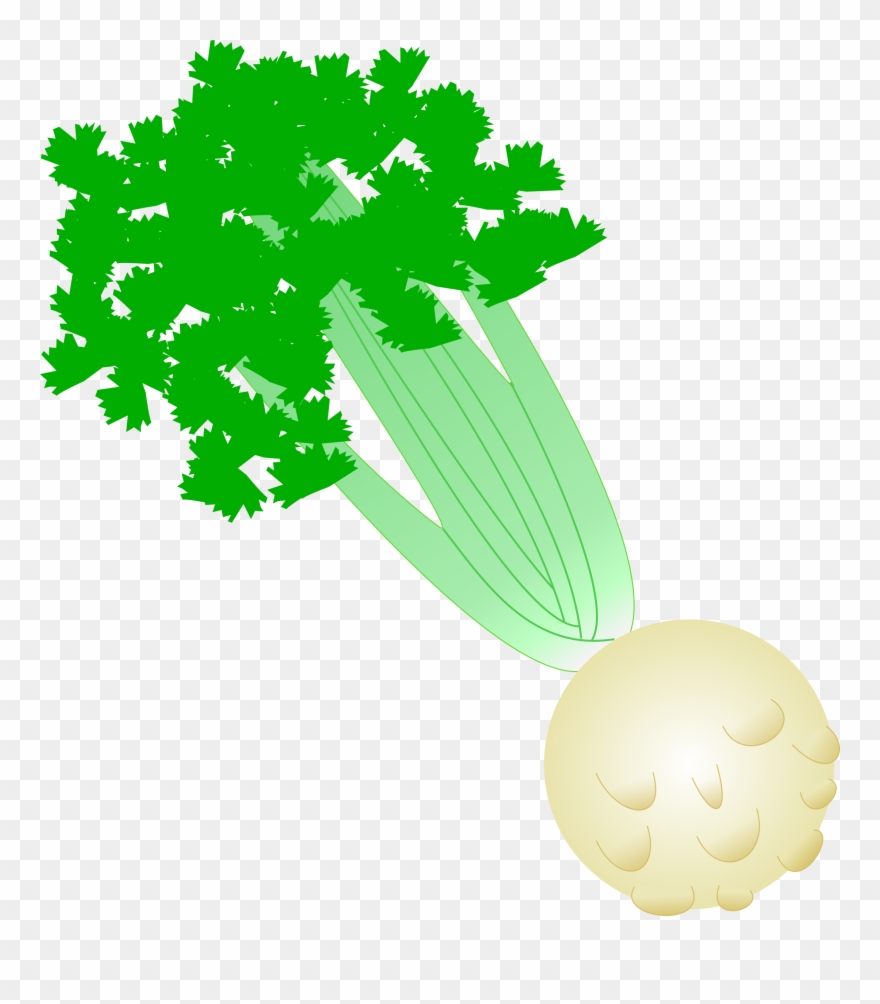 Svg Transparent Library With Root Big Image - Celery Root Clipart - Png Download