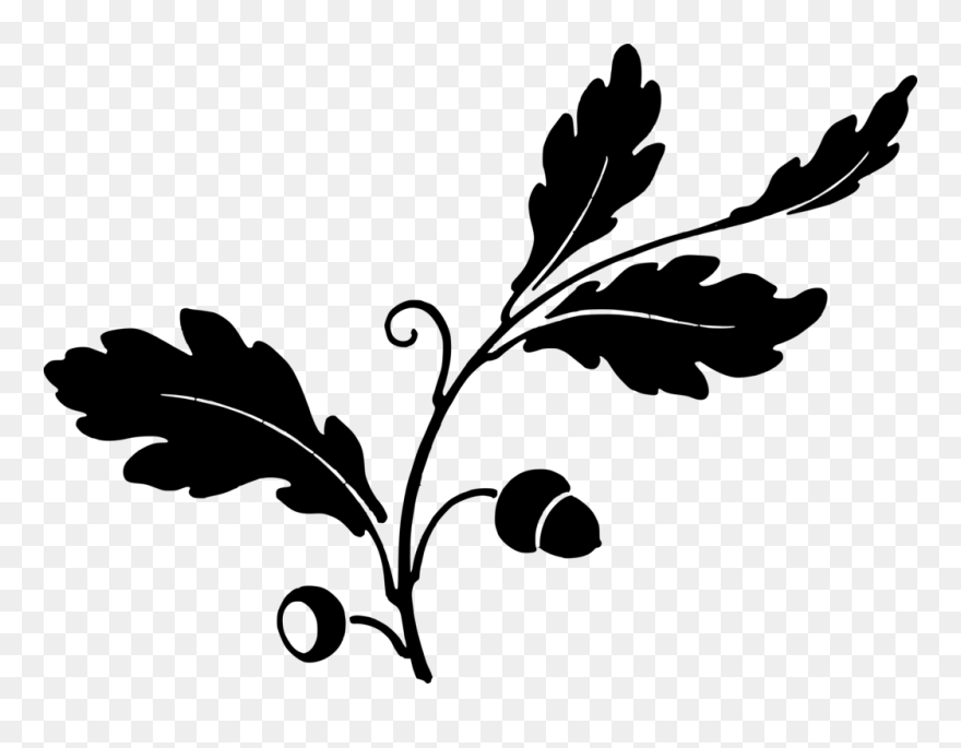 Free Oak Leaf And Acorns - Clipart Acorns And Oak Leaves - Png Download
