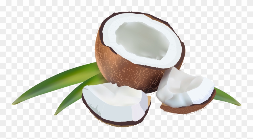 Transparent Background Coconut Png Clipart