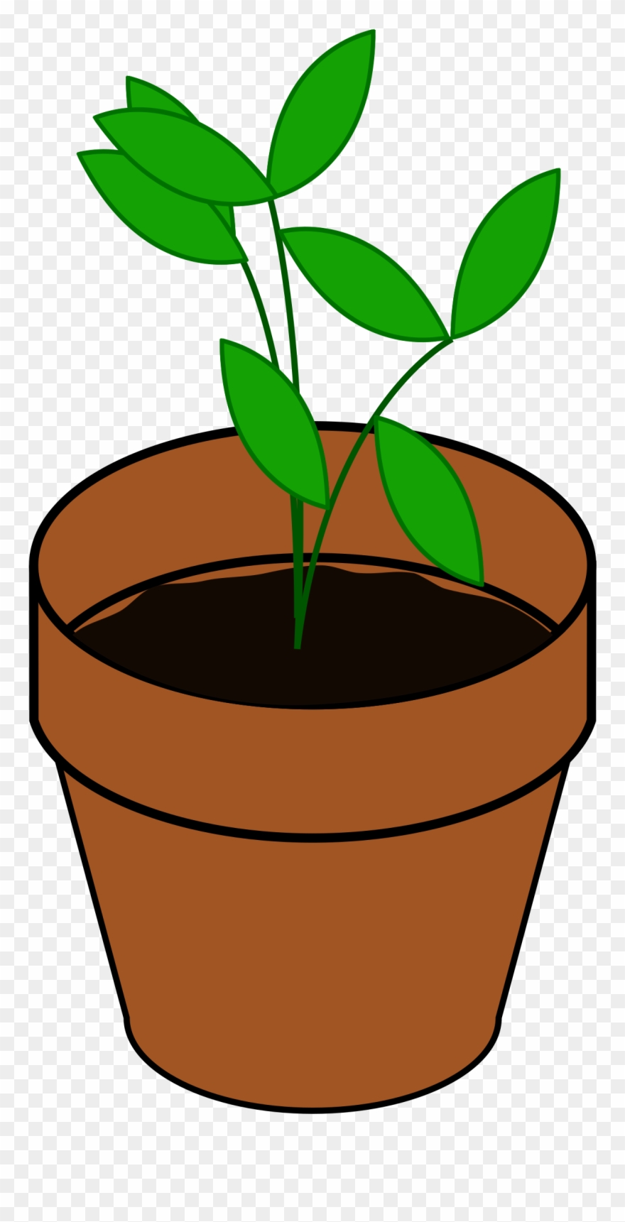 0 - Plant Clip Art - Png Download