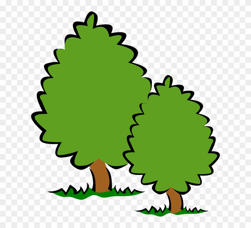 Trees Tree Clip Art Background Free Clipart Images - Trees Clipart Transparent Background - Png Download