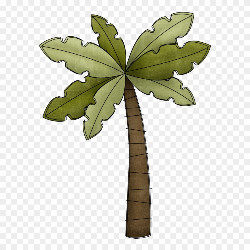 Фото, Автор K - Minus Palm Tree Clipart - Png Download
