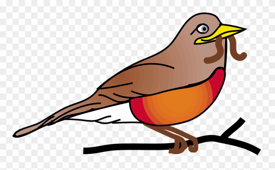Red Robin Bird Animal - Cartoon Robin In A Tree Clipart