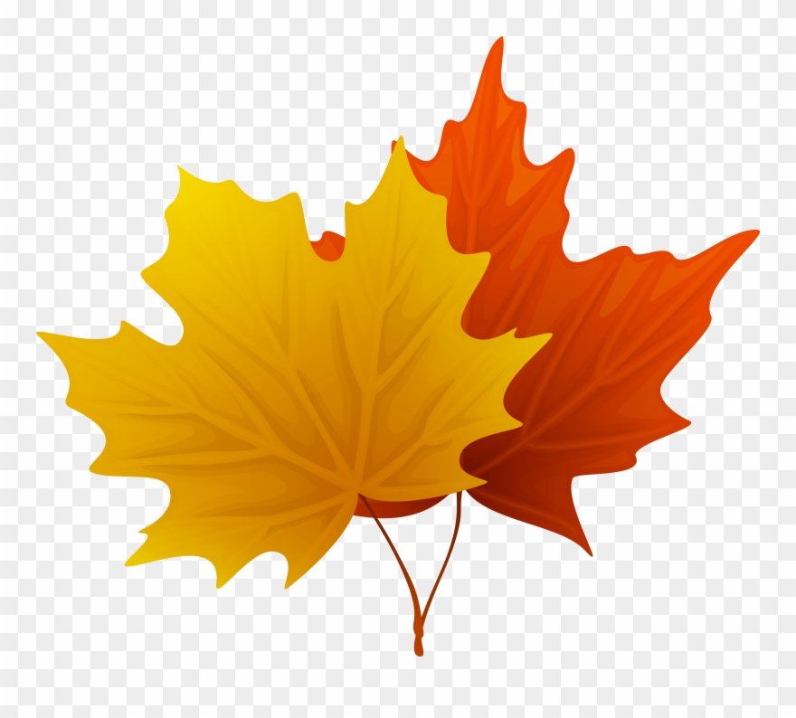 Fall Maple Leaves Png Decorative Clipart Image - Clip Art Leaves Fall Png Transparent Png