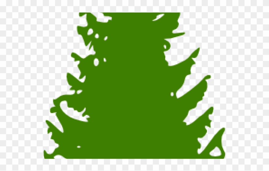 Pine Tree Clipart Clip Art - Pine Tree Silhouette - Png Download