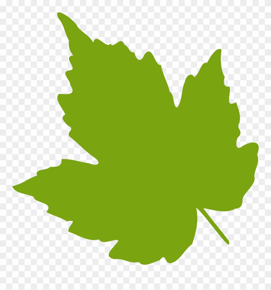 Clipart Png File Tag List, Clip Arts Svg File - Grape Leaf Clipart Transparent Png