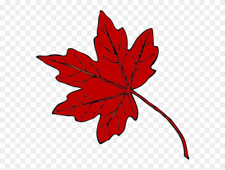 Red Maple Leaf Clipart - Png Download