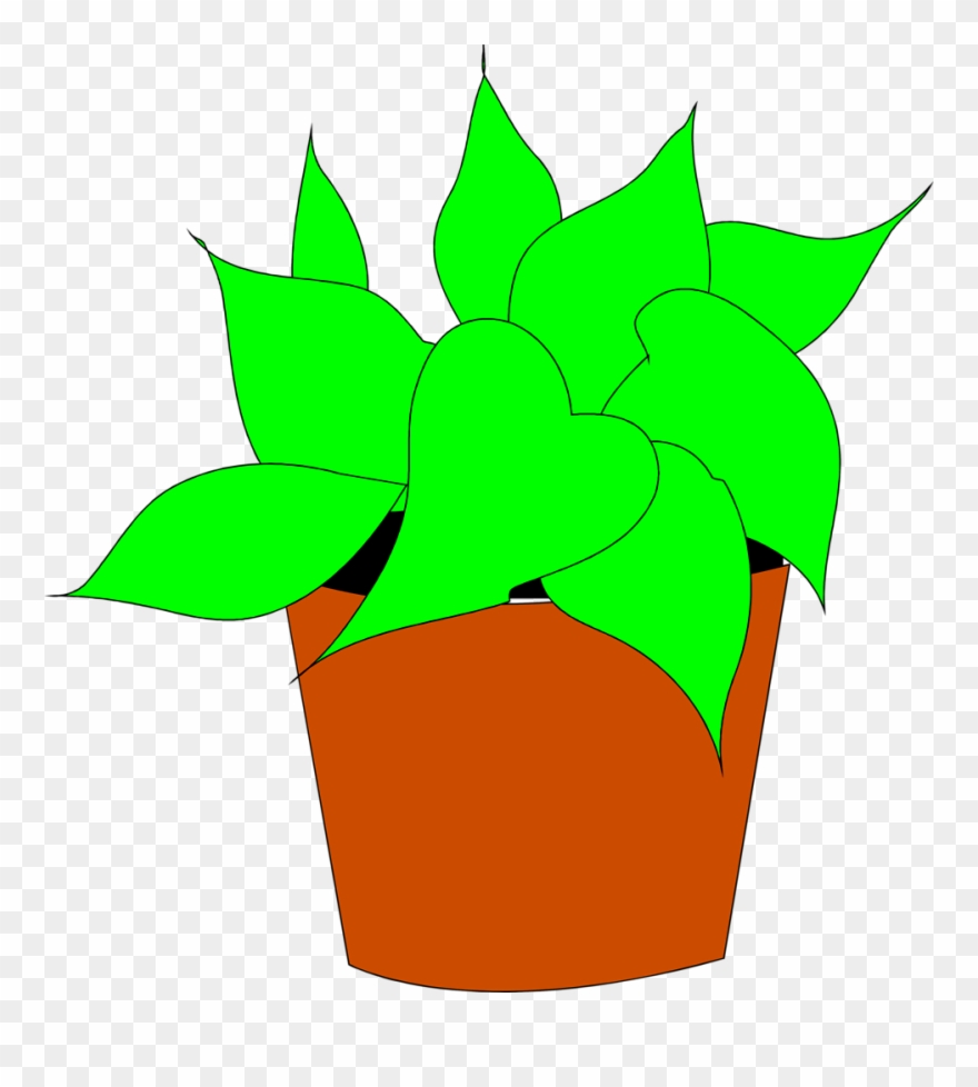 Flowering House Plant Clipart - House Plants Clipart Free - Png Download