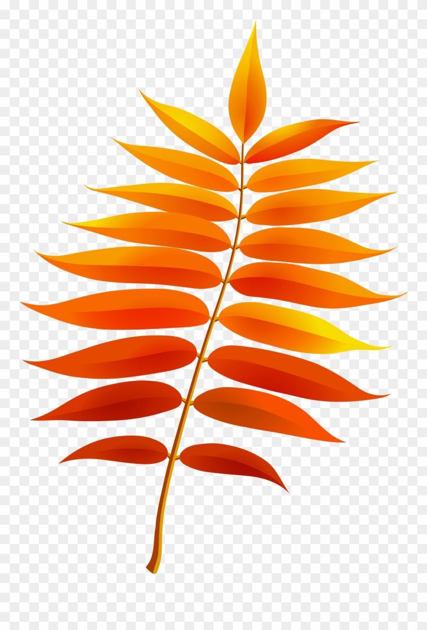 Fall Leaves Clip Art - Fall Leaves Clipart Transparent - Png Download