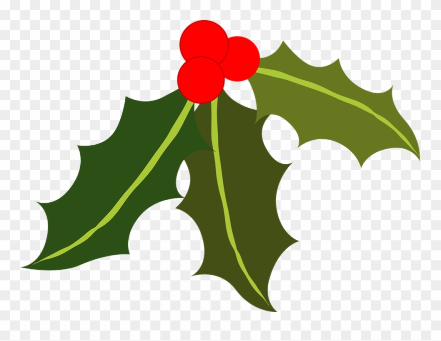 Holly And Berries Clip Art Collection Of Free Berries - Transparent Background Holly Clipart - Png Download