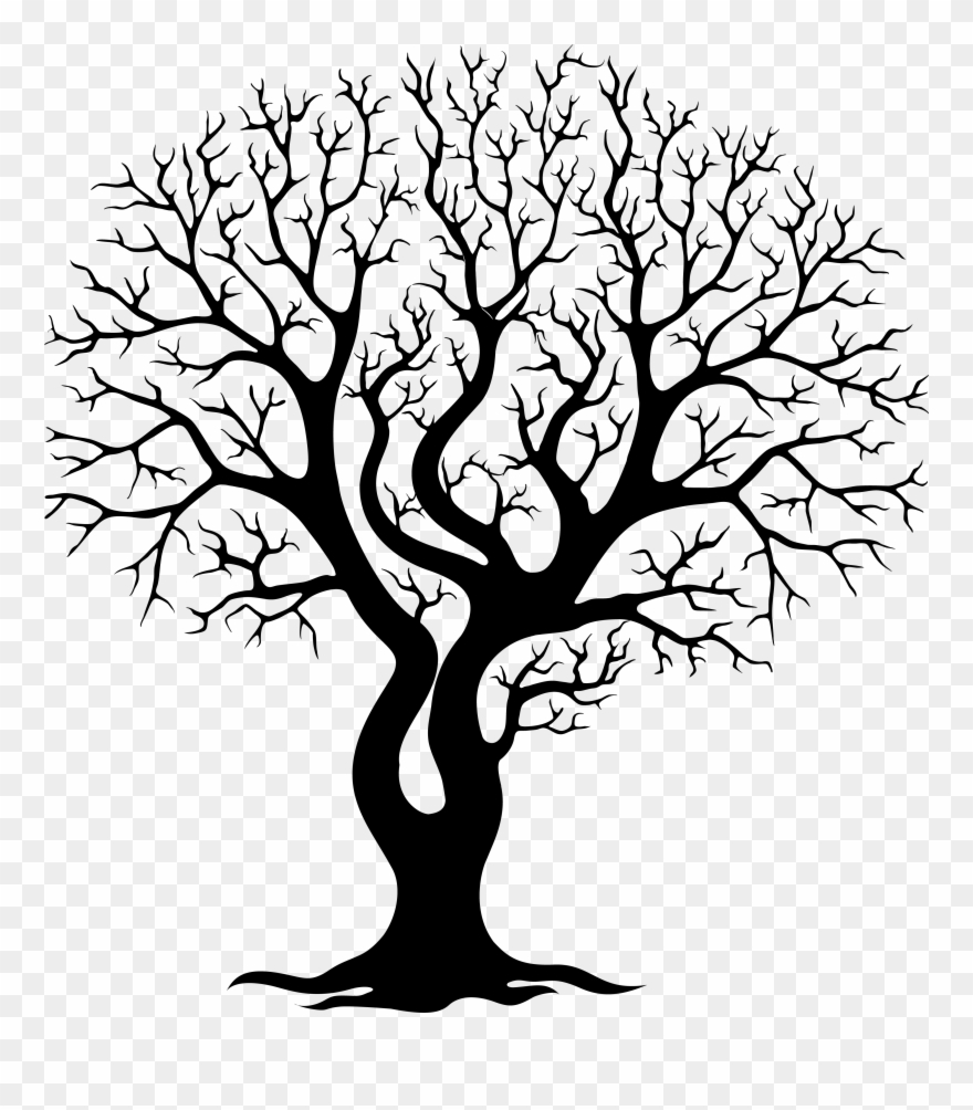 Image Gallery For - 36"(w) X 72"(h)stylish Lovely Tree Pattern Bathroom Clipart