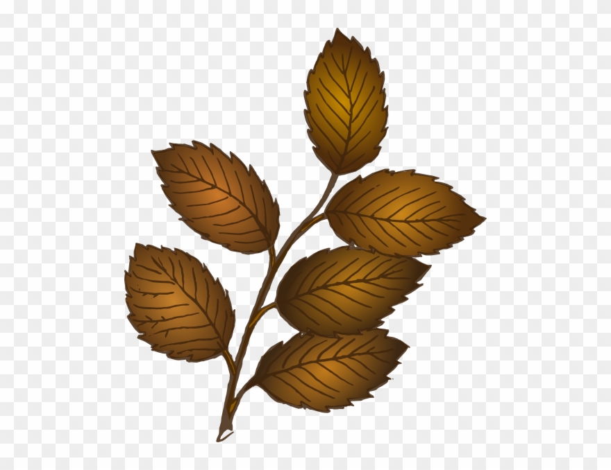 Fall Leaves Branch Clip Art At Clker - Brown Branch With Leaves - Png Download
