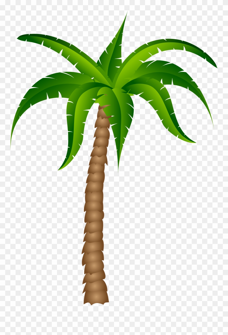 Palm Tree Transparent Background Clipart