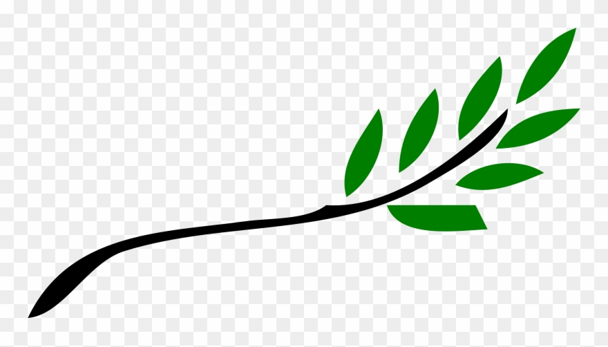 Clip Art Tree Branches Black And White - Olive Branch Petition - Png Download