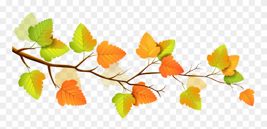 Fall - Fall Tree Branch Png Clipart