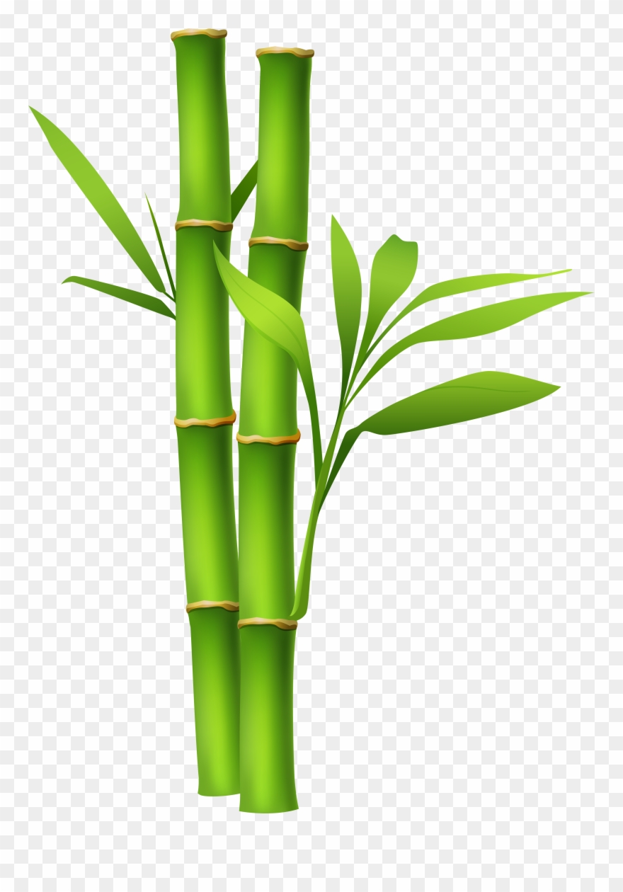 Bamboo - Bamboo Living Eco Friendly Egyptian Comfort Bedding Clipart