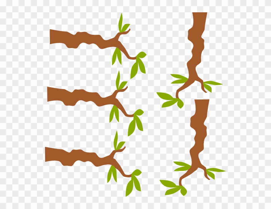 Jungle Tree Branch Vector Clipart