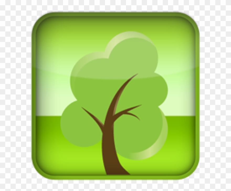 Clip Arts Related To - Tree - Png Download