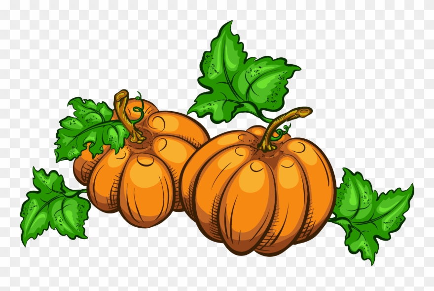 Collection Of Free Transparent Pumpkin Clip Art - Transparent Transparent Background Thanksgiving Clipart - Png Download